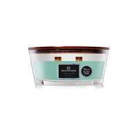 Deco Express Woodwick Candles - Cool Eucalyptus in Green Deco Express Green