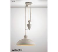 Deco Wellington Rise and Fall Ceiling Pendant Light - Matt White
