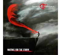 Decoded Feedback - Waiting for the Storm