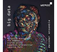 Decoder Ensemble - Big Data