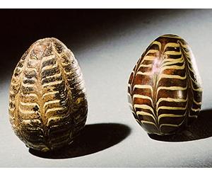 Decoding The Cosmic Egg