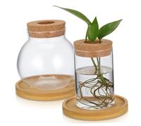 DECOMELODY 2 Pcs Glass Propagation Vases with Bamboo Base Small Round and Cylindrical Hydroponic Planters for Indoor Plant Display Transparent Desktop Terrariums for Root Growth and