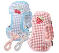 DECOMELODY 2pcs Dog Harness and Leash Set, Detachable Chest and Back Vest Harness Backpack, Size M for Small Dogs, Blue Cherry and Pink Strawberry, Outdoor Walking and Training Pet Supplies