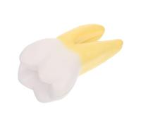 DECOMELODY Anatomical Molar Model Denture Teeth Simulated Specimen Yellow Lightweight for Dental Clinics Teaching and Practice