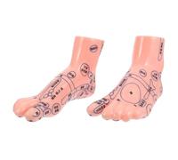 DECOMELODY Foot Model with Realistic Reflexology Details Educational Massage Teaching Tool for Students and Practitioners Lifelong Learning Aid for Foot Bath and Acupuncture Demonstration