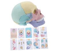DECOMELODY Human Skull Model Detachable Anatomy Model for Realistic Exploded Design Skeleton for Interactive Learning and Oral Teaching