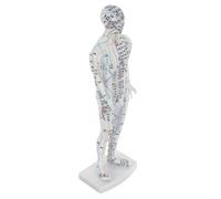 DECOMELODY Male Acupuncture Model Human Body Meridian Pressure Point Model White Training Tool for Chinese Medicine Teaching and Massage Therapy