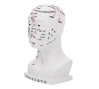 DECOMELODY Medical Head Acupoint Model PVC Acupuncture Teaching Tool with Facial Acupoints for Classroom Health Demonstrations and Laboratory Use