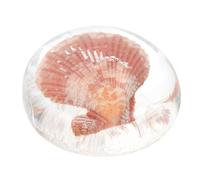 DECOMELODY Moisturizing Peptide Soap with Essential Oils - Jelly Shell Sea Creature Bath Soap for Face and Body Cleansing Hydrating Home Shower