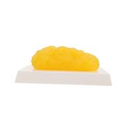 DECOMELODY Realistic Human Body Fat Model Precise Fat Anatomical Model with Oily Texture for Physiology Learning Weight Loss Motivation Fitness and Nutrition Education