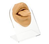 DECOMELODY Realistic Silicone Tongue and Mouth Model for Piercing Practice with Stand Life Training Body Part Simulation for Beauty Salons Schools and Piercing Shops Lightweight and Space