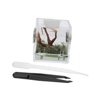 DECOMELODY Small Jumping Spider Breeding Box Reptile Feeding Case Insect Storage Container for Florida Spiders Pet Supply