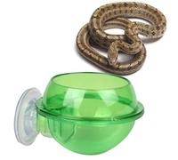 DECOMELODY Small Pet Feeding Bowl with Suction Cup for Reptiles Durable Abs Water and Food Feeder for Lizards Turtles Easy Attach Dish for Amphibians and Small Animals