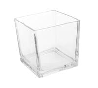 DECOMELODY Thickened Clear Square Glass Vase Modern Hydroponic Planter for Desk Living Office Unique Decorative Flower Vase with Stable Flat Bottom for Home and Restaurant Display