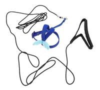 DECOMELODY Wear Resistant Outdoor Bird Harness Adjustable Parrot Leash with Elastic Strap for Budgie Cockatiel Conure Training and Safe Walking Blue Sun Design