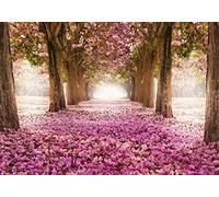 decomonkey Photo Wallpaper Forest 250 x 175 cm - Wood Landscape Nature Trees Deer Sun Wall Mural Non-Woven Murals Wall Art Modern Design Art Print Home Decoration Bedroom Living Room Green