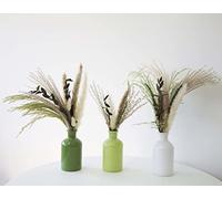 Decor Essentials Riga Vases Set of 3 Plain Apothecary Bottle Plain Single Stem Bud Vases for Dried Flowers (Green/White)