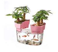 Decor Fish Tank Acrylic Transparent Aquarium Tank Turtle Tank Small Ecological Tank for Aquariums Bonsai Desktop Ornaments Starter(Small)