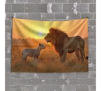 Decor For Man Cave Enchanted Garden Fairy Tale Tapestry Funny Room Decor Flags For Room Teen(75X100CM)