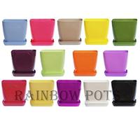 Decor Square Flower Pots Colours Gloss Plastic Plant Pots Planter Saucer - 14 Colours and 4 Sizes to Choose from (White, 20 cm - 7.9 inch)