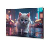 Decoraciones Para Cuartos A Fluffy Kitten With Blue Eyes Walks On A Wet City Street At Night. Canvas Decorative Picture Wall Decor Religious Easter Decorations(40x60cm)
