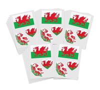 Decorate skin safely with this 75-piece temporary tattoo set featuring 23 selectable nations, perfect for matches or patriotic celebrations. Sports, party, stadium, outdoor, Italy,25pcs, Green, Whit
