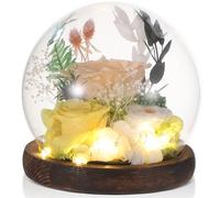 Decoration Eternal Rose Flowers, Preserved Flowers Inside Glass Dome, Champagne Rose Globe With Wooden Base, Dry Unique Flower Present For Loved Ones During Special Occasions