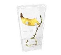 Decoration for jumping spiders, magnetic hiding place with fruit design, hiding cave for jumping spiders, for grasshoppers, pampas grass, turtle, dragon, bearded dragon, Halloween