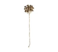 Decoration for Jumping Spiders, Magnetic Mushroom Climbing Shelf, Accessories for the Mygal Enclosure | for Geckos Tree Frogs Bernard-Habitat Terrarium