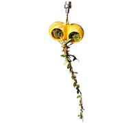 Decoration for Reptile Tanks, Spider , Magnetic Terrarium Function, Robust Enclosure Ornament That Promotes Natural Climbing and Exploration Behaviour, Ideal for Tarantulas