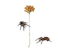 Decoration for the terrarium of jumping spiders, magnetic mushroom climbing bar, jumping spiders habitat accessories, for geckos lizards hermit crabs terrarium for home habitat breeding