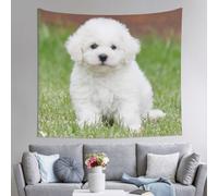 Decoration Tapestry Wall Hanging For Bedroom, Bichon Frise Dog, 152x130cm Dorm Decor, Lightweight Easy Hang Wall Art For Living Room, Aesthetic Tapestries For Outdoor, Ceiling, Doorway, Camping