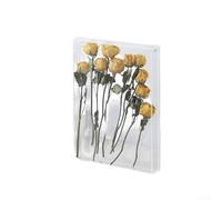 Decorative Acrylic Photo Frame with Hollow Section Designed for DIY Flower and Shell Displays, Enhancing Ambiance and Visual Interest in Rooms (Transparent)