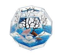Decorative Aquariums Polyhedral Thickened Glass Fish Tank Creative Desktop Decorative Fighting Aquarium Transparent for office(Small)