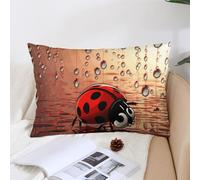 Decorative Art Ladybug Tracks Lumbar Pillow Covers 12x20, Hidden Zipper, Soft Plush Pillowcases Protectors Outdoor Throw Pillow Cases for Sofa, Bed, Couch, Living Room, Garden, Farmhouse Home Deco