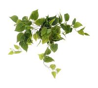 Decorative Artificial Pothos Plant Realistic Fake Greenery Low Maintenance for Home and Office Spaces