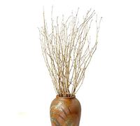 Decorative Birch Branches,Brich Stems for Wedding Decor,Dried Twigs for Christmas Decor (Metallic Gold)