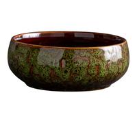 Decorative Ceramic Pot Flower Bowl Container for Modern Indoor Space of Narcistes and Green Radish Indoor Water Gardening