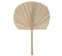 Decorative Dry Palm Leaf Wood Khaki Natural Look Wall Decor
