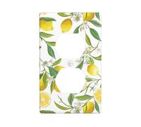 Decorative Duplex Outlet Wall Plate, Fresh Tropical Lemons, 1 Gang Duplex Light Switch Cover Plate, Double Outlet Wall Plate, Heat-Resistant Double Toggle Switch Cover for Bathroom Bedroom Decor