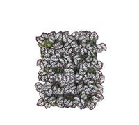 Decorative Faux Fencing Panel | Expandable Flexible Backdrop Decoration,Decorative Faux Leaves Privacy,for Friends Students Adults Men Women Living Room Balcony Patio Backyard Outdoor