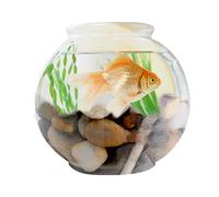 Decorative Gravel Stones - 1kg Natural Polished, River Rocks, Smooth Pebbles For Garden, Fish Tank, Long LASTING, Vase Filler | Landscaping Terrarium Decoration Home Plant Aquarium Use