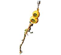 Decorative Habitat Accessory, Magnetic Ornament for Reptile , Hiding Hole for Jumpers, Terrarium, Aquarium, Game, Climbing, Resting and Tarantula