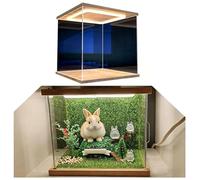 Decorative Lighted Acrylic Box for Diorama, Clear Display Case for Protection & Centerpiece, Removable Countertop Storage Cabinet for Book Shoe(10"x10"x10"/25x25x25cm)