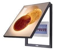 Decorative Meter Cover Box for Electric Meter - Protective Painting Design