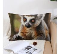 Decorative Monkey Lemur Cute Lumbar Throw Pillow Covers 12x20 with Hidden Zipper Outdoor Couch Pillow Cases for Sofa Bed Living Room Garden Plush Pillowcase Farmhouse Cushion Case Home Decor