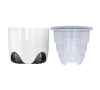 Decorative Orchid Pot - Dendrobium Root Guide Planter, Transparent Growth Container | Elegant Indoor Flower Pot for Bookcase, Windowsill, Balcony, Table Decoration