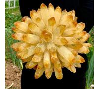 Decorative Ornaments Yellow Tibetan Quartz Crystal Cluster (Size : 600-650g)