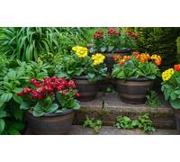 Decorative Patio Pot with Saucer: Wooden Barrel Effect 1 Pot + Saucer/One