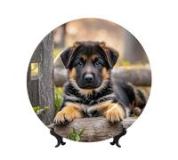 Decorative Plate German Shepherd Puppy Ceramic Bone China Dessert Plate with Display Stand German Shepherd Puppy Bone China Decorative Plate Stand Hanging Porcelain Plate for Home Office Wall Decor